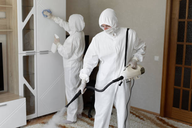 Mold Testing and Removal in Monteagle, TN
